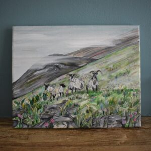 Isle of Mull sheep canvas